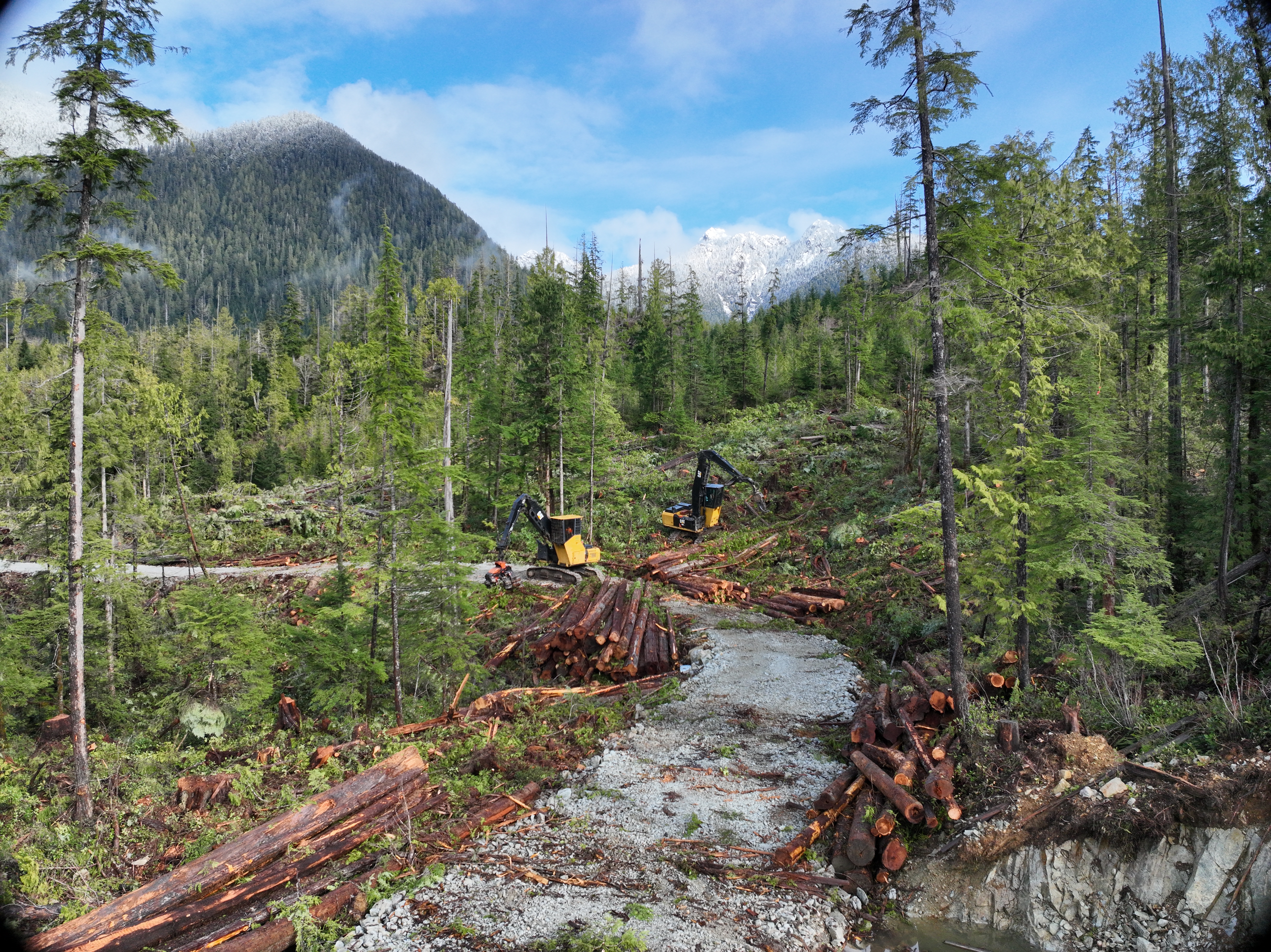 Logging operation