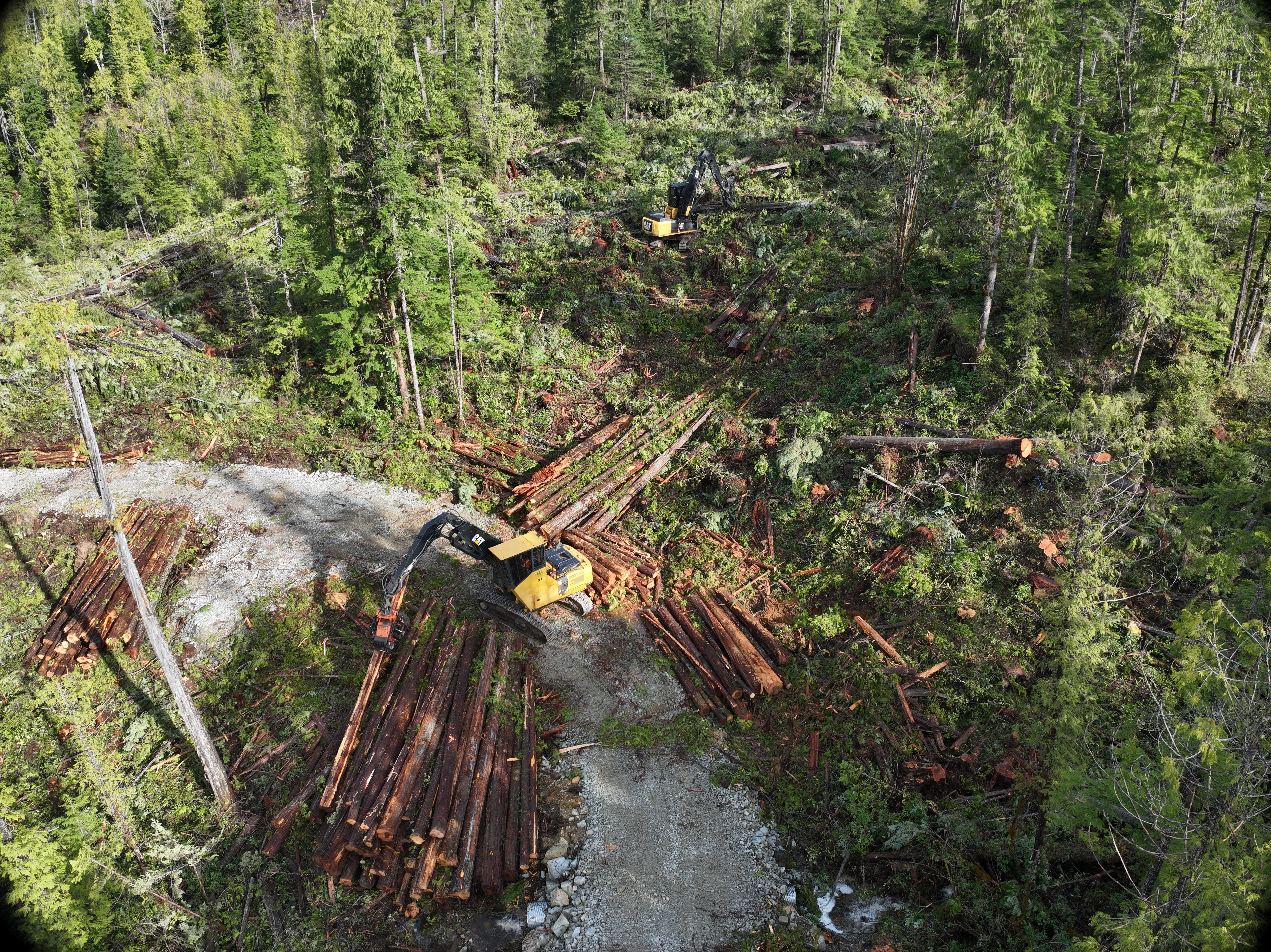 Aerial view of logging