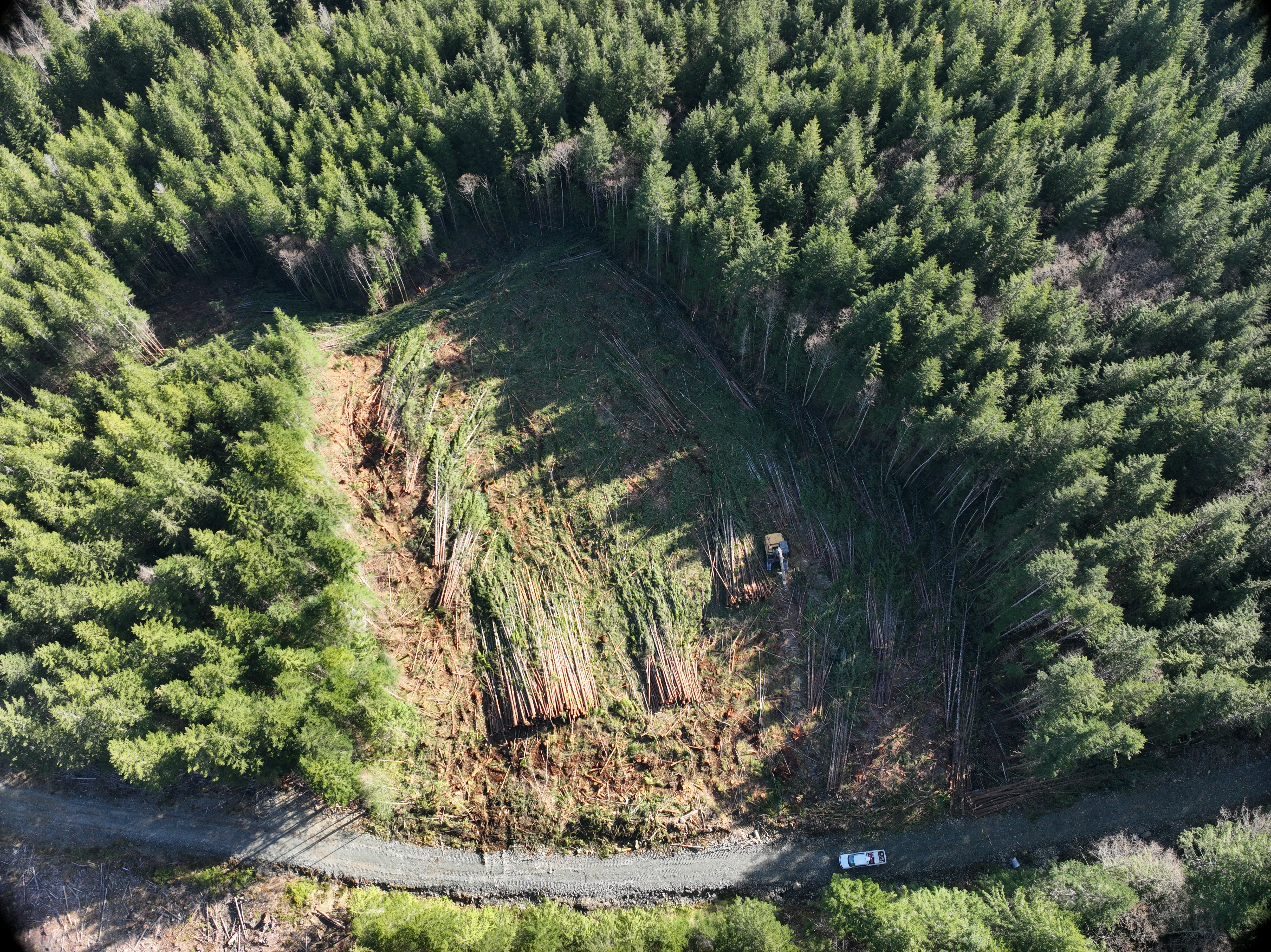 Logging site