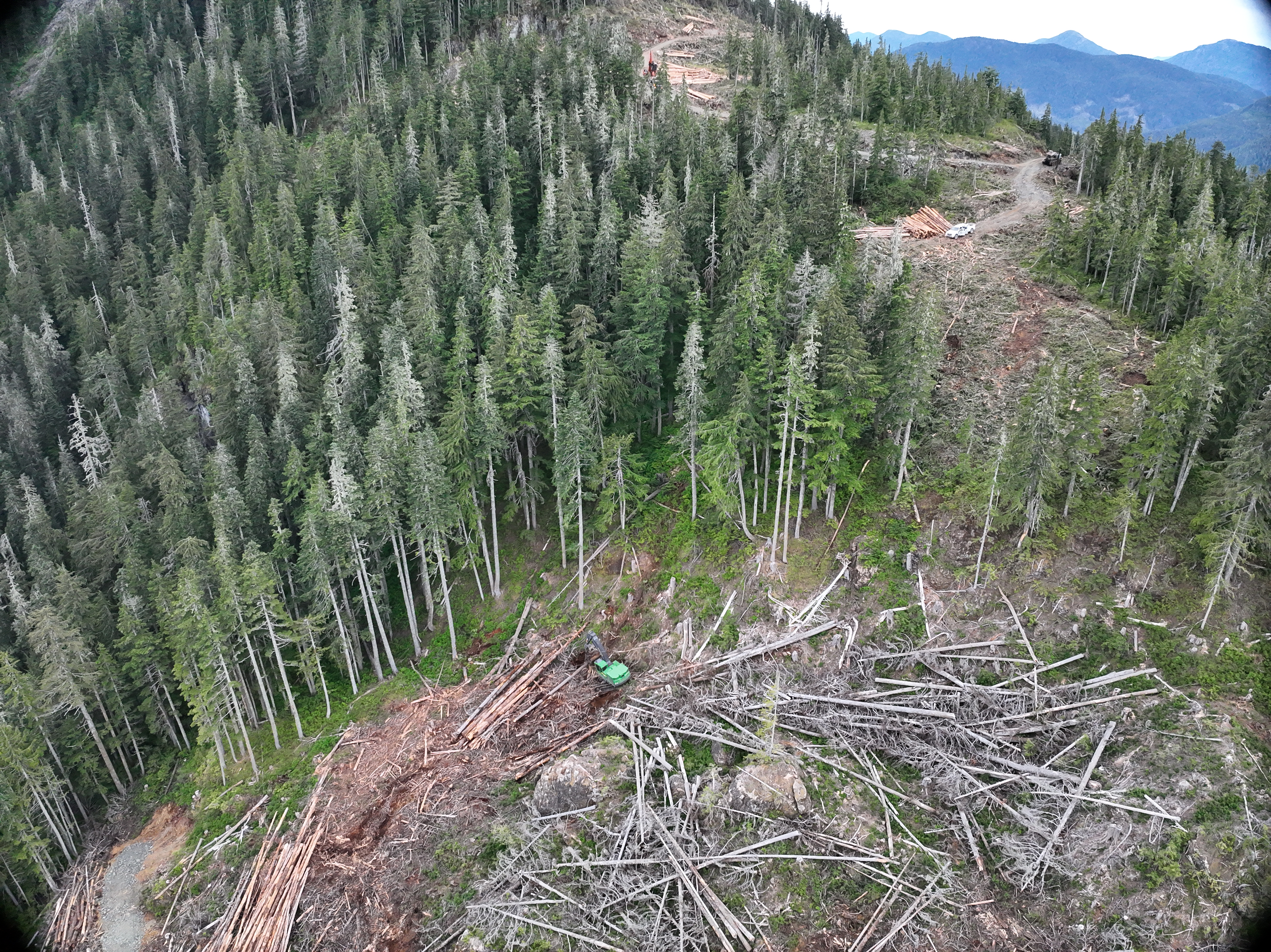 Land clearing